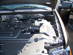 Ford Expedition Performance Air Intake - K&N Engineering - Drop In High-Flow Air Filters - `07-`19